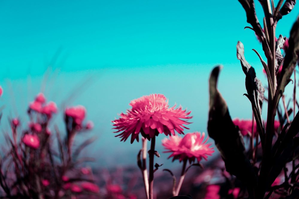 Nature or Prakriti has three primal qualities (Gunas) and the constitution (in various proportion) of these three Gunas form the basis of any being in this universe. . These subtle qualities have immense energy